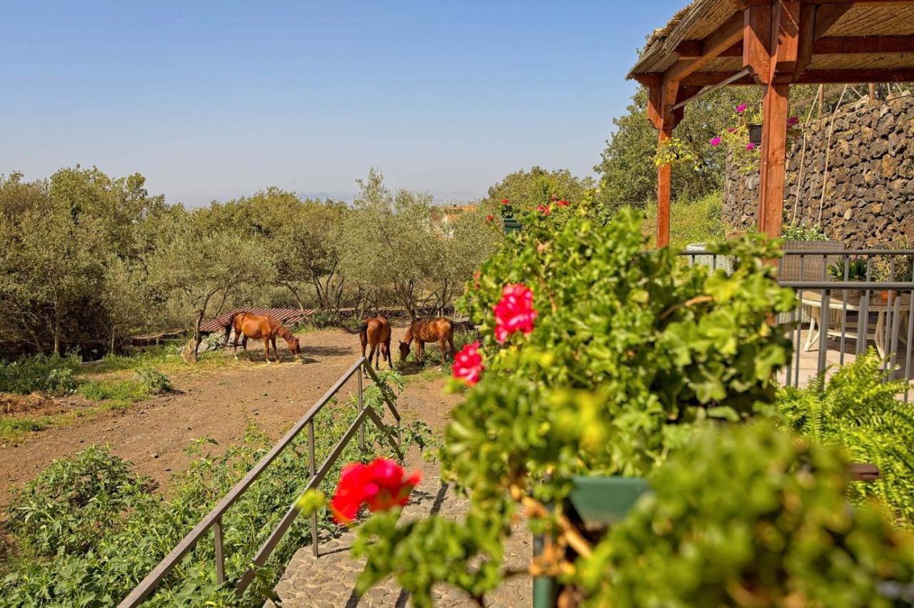 Horse House Daire Ragalna Dış mekan fotoğraf